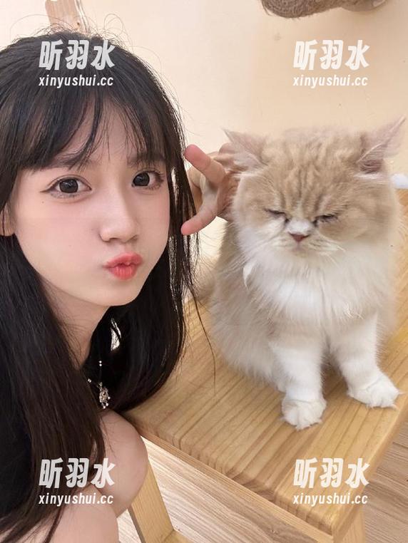 SHENSHI绅士-楠楠 SHENSHI绅士 - 想知道楠楠居家时的风采?原图写真在此,观看后你会发现家的魅力!