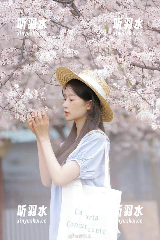 Xiuren秀人网 - 观看吃白菜的vi菜菜双马尾写真合集，享受每一帧青春洋溢的美好瞬间
