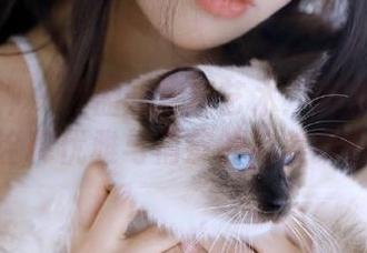 克拉女神 - 盈盈的写真艺术：用定制棉袜诠释优雅与俏皮的完美结合