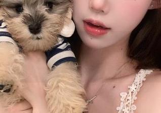 感受猫咪的温馨瞬间，《喵写真》高清写真集送给你的礼物