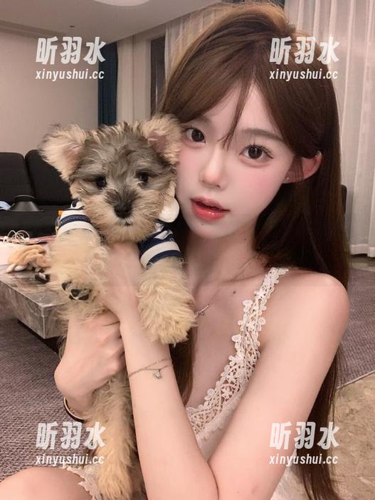 喵写真 感受猫咪的温馨瞬间,《喵写真》高清写真集送给你的礼物